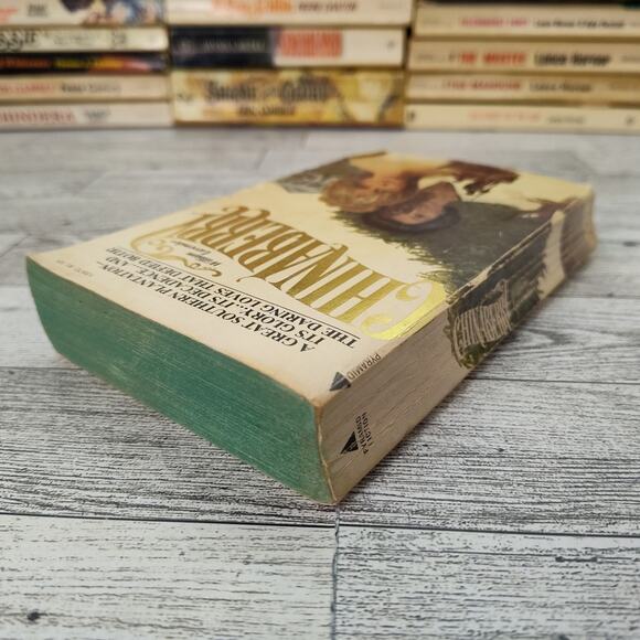 Chinaberry by William Lavender 1976 Pyramid Paperback Historical Fiction - Picture 9 of 13